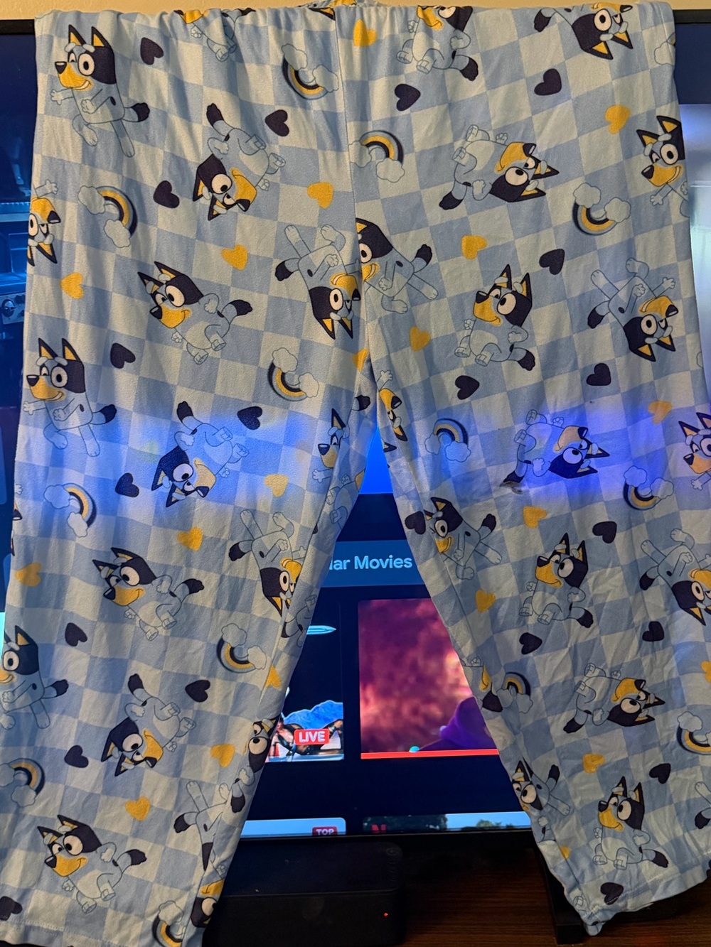 Disney Blue & Yellow Bluey Men’s Pajama Pants